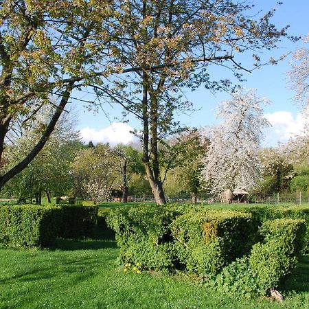 Gites Aux Fleurs De Cerises Le Plessis-Luzarches Экстерьер фото