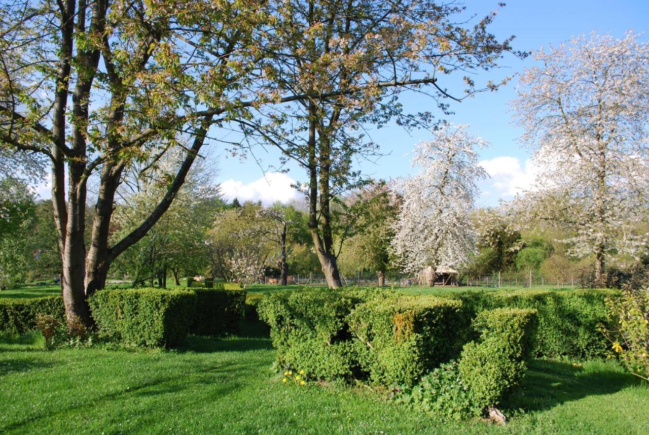 Gites Aux Fleurs De Cerises Le Plessis-Luzarches Экстерьер фото